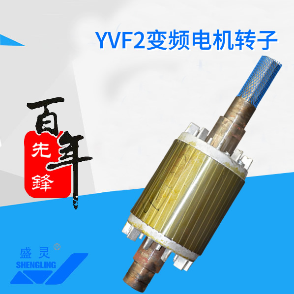 YVF2變頻電機轉子_YVF2變頻電機轉子生產(chǎn)廠家_YVF2變頻電機轉子直銷_維修-先鋒電機